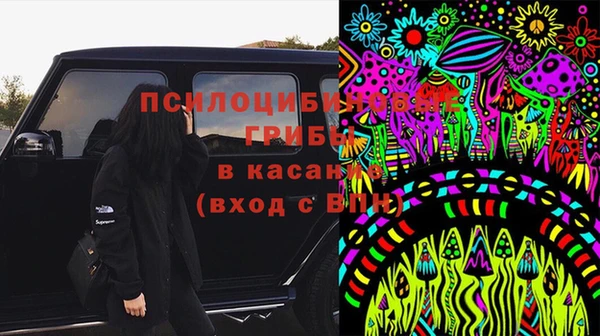 молекула духа Волоколамск