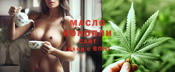 молекула духа Волоколамск