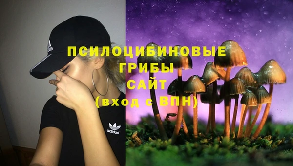 молекула духа Волоколамск
