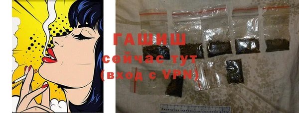молекула духа Волоколамск