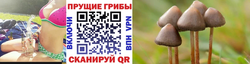 Псилоцибиновые грибы мицелий мега маркетплейс Находка